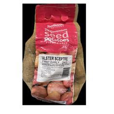 Ulster Sceptre Seed Potatoes 2kg