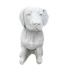 Labrador 18&#39;&#39;