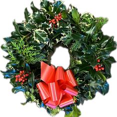 Holly Wreath 9-10&#39;&#39;