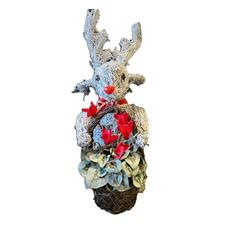 Reindeer Planter w Red Cyclamen