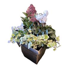 Biscotti Planter