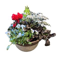 Crackle Planter
