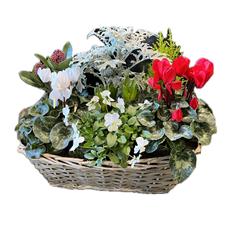 Large Wicker Trough Planter