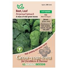 Beet, Leaf Perpetual Spinach Seeds