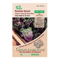 Brussel Sprout Flower Sprout Petit Posi Seeds
