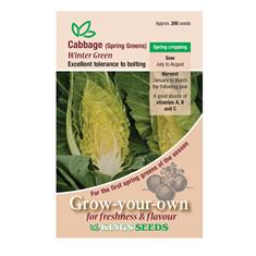 Cabbage Winter Green Seeds