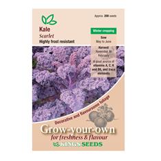 Kale Scarlet Seeds