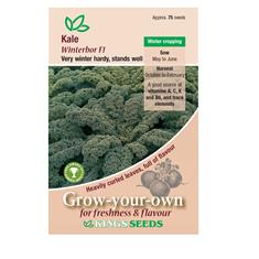 Kale Winterbor F1 Seeds