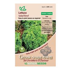 Lettuce Salad Bowl Seeds