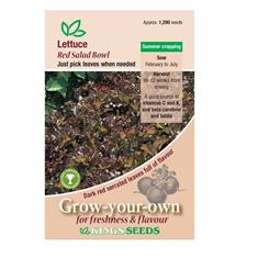 Lettuce Red Salad Bowl Seeds