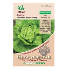Lettuce Analena Seeds