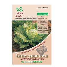Lettuce Saladin Seeds