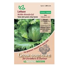 Lettuce Webbs Wonderful Seeds