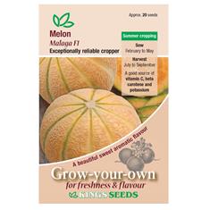 Melon Malaga F1 Seeds