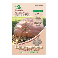 Pumpkin Dills Atlantic Giant Seeds