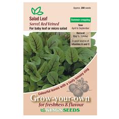 Salad Leaf Sorrel, Red Veined Seeds