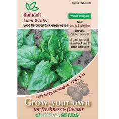 Spinach Giant Winter Seeds