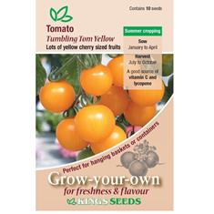 Tomato Tumbling Tom Yellow Seeds