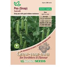 Pea (Snap) Nairobi Seeds