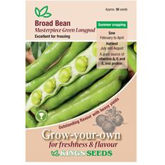 Broad Bean Masterpiece Green Longpod Seeds