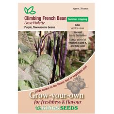 Climbing French Bean Cosse Violette Seeds