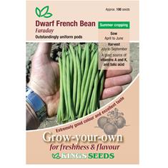 Dwarf French Bean Faraday Seeds