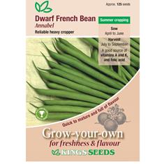 Dwarf French Bean Annabel Seeds