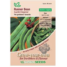Runner Bean Scarlet Emperor Seeds