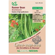 Runner Bean Benchmaster Seeds