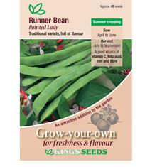 Runner Bean Painted Lady Seeds