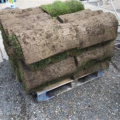 Turf 1Sqm Roll