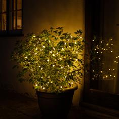 Duo Bulb Berry Lights (100 LEDs)