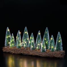 Bristle Tree Forset Scene On Rattan Base