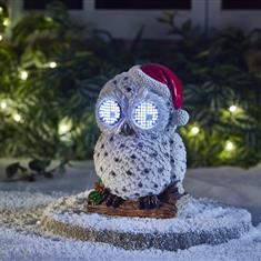 Blinkin Snowy