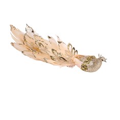 Gold Peacock