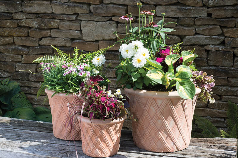 Frost Proof Pottery