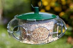 Pet Supplies