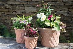 Frost Proof Pottery